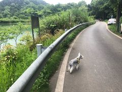 -青龙山国家森林公园