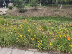 -莫子山公园