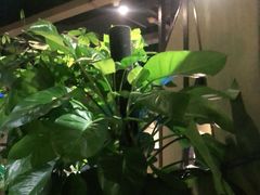-铁胖子口碑长沙菜·龙虾烧烤(赤岗社区店)