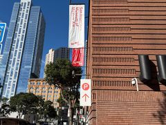 -旧金山现代艺术博物馆