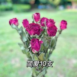 -小梨·OndaPro·专业脱毛连锁机构