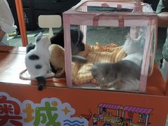 -时代奥城商业广场