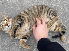 -阿育王寺