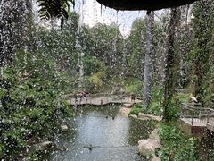 -吉隆坡雀鸟公园
