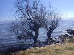 -阳光便利店(环海西路店)