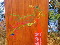 -梧桐山风景名胜区