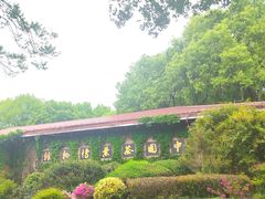 -中国茶叶博物馆(双峰馆区)