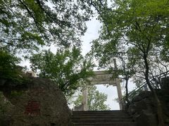 -紫金山山顶公园