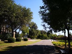 -永定河休闲森林公园