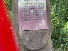 -北陵公园