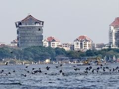 -厦门园林博览苑