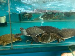 -州康·本帮菜(南桥百联店)