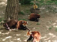 -西安秦岭野生动物园