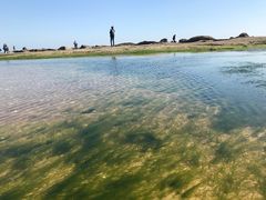 -日照灯塔风景区