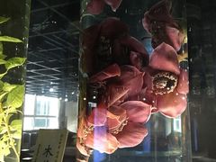 -广东中医药博物馆