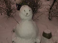 -吉林大学第二医院(自强院区)