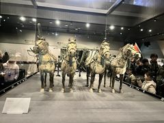 -秦始皇帝陵博物院-丽山园