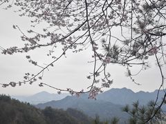 -大慈岩风景区