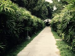 -广州兰圃