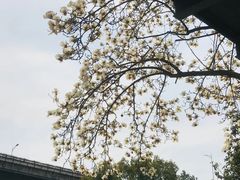 -南京晨光1865创意产业园