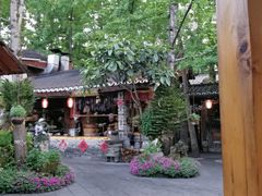 -青城甲(青城山店)