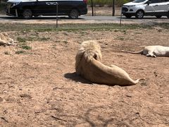 -秦皇岛野生动物园