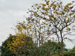 -中山公园