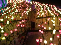 -长春公园(普阳街道)