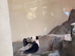 -宁波野生动物园
