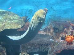 -秦皇岛新澳海底世界