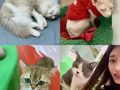 -福田卓悦INTOWN购物中心