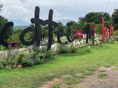 -黄色小屋