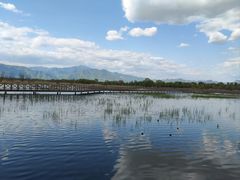 -野鸭湖国家湿地公园