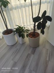-HEYAN荷妍专业脱毛连锁机构
