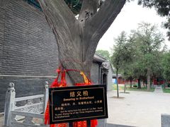 -关林