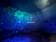 -安徽省地质博物馆