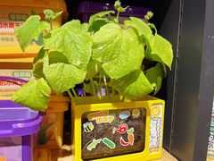 -九木杂物社(大族广场店)