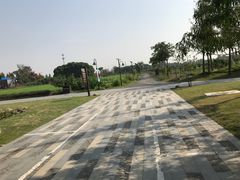 -田园东方蜜桃村的田野营地