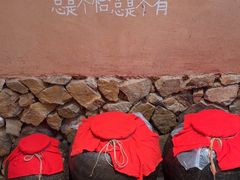 -田小狗的饭店(碧桂园店)