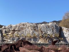 -北京西山国家森林公园