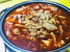 -老红桥炸灌肠牛肚锅烧烤(定福庄店)