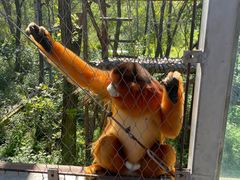 -哈尔滨北方森林动物园