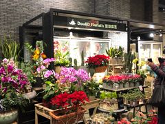 -豆豆花艺(新光天地店)