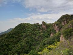 -大岭沟猕猴桃谷风景区