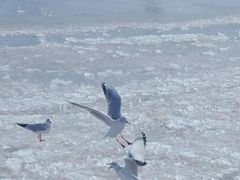 -海河外滩公园