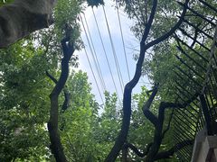 -郑远元专业修脚房(番禺路店)