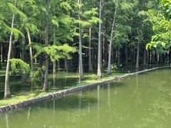 -虞山风景区