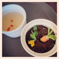 -新寰亚月子会所(金鸡湖凯宾店)
