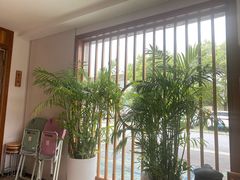 -鸡毛换糖(高桥店)