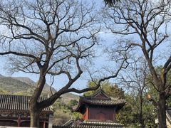 -红螺寺